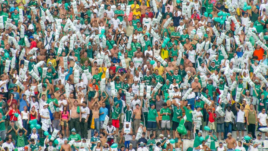 6T体育 APP — 营业执照与资质公示示意配图